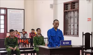 Mua ma túy về bán lĩnh án tù chung thân