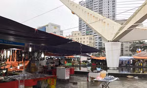 Tổ chức hội chợ liên miên, Công viên Hòa Bình bị biến thành 'chợ đầu mối'