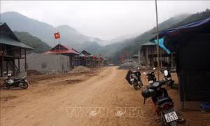 Xuân về với đồng bào vùng lũ Trung Sơn