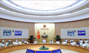 Thủ tướng chủ trì họp Thường trực Chính phủ với Ban Chỉ đạo Quốc gia phòng, chống dịch COVID-19
