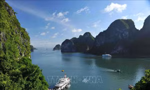 Không có hoạt động kinh doanh 'ô tô nước' trên vịnh Hạ Long