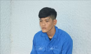 Trà Vinh: Khởi tố, bắt tạm giam đối tượng tàng trữ vũ khí quân dụng
