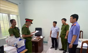 Sai phạm ở dự án hạ tầng Khu công nghiệp Nhân Cơ: Khởi tố thêm 3 đối tượng