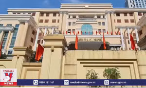 Thanh tra Chính phủ kỷ luật 1 phó cục trưởng và 5 thanh tra viên
