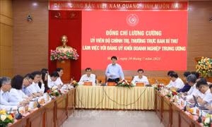 Thường trực Ban Bí thư Lương Cường làm việc với Đảng ủy Khối Doanh nghiệp Trung ương