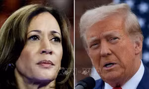 Bà Kamala Harris vượt ông Donald Trump trong cuộc đua tài chính