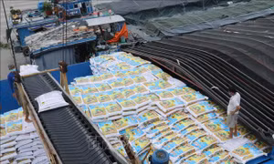 Bộ Nông nghiệp và Phát triển nông thôn hủy bỏ 126 quy chuẩn không phù hợp