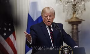 Thêm một nhân vật quyết định chứng thực cho việc Tổng thống Mỹ gây sức ép với Ukraine