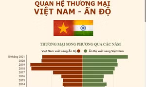  Quan hệ thương mại Việt Nam - Ấn Độ