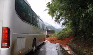 Lâm Đồng: Đèo Bảo Lộc thông xe sau nhiều giờ ách tắc nghiêm trọng