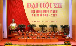 Đại hội đại biểu toàn quốc Hội Nông dân Việt Nam bước vào ngày làm việc đầu tiên