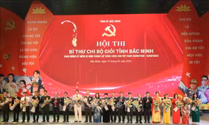 Lan tỏa năng lực lãnh đạo, sức chiến đấu của chi bộ Đảng