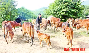  Đồng hành cùng phụ nữ biên cương