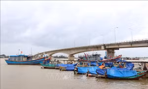 Hơn 4.600 trường hợp F0, F1 nằm trong phương án cách ly, sơ tán riêng khi ứng phó bão số 7
