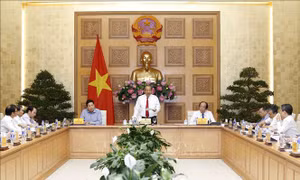 Chính phủ luôn lắng nghe để gỡ khó, hành động cùng doanh nghiệp