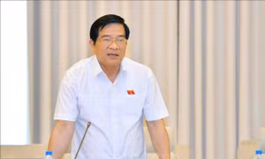 Tham vấn sáng kiến xây dựng Đề án phát triển kinh tế- xã hội vùng dân tộc thiểu số và miền núi
