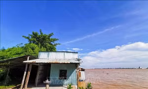 Sạt lở hơn 1 ha đất mỗi năm ở cù lao Tân Lộc