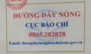 Từ 1/9, tiếp nhận phản ánh báo chí qua đường dây nóng