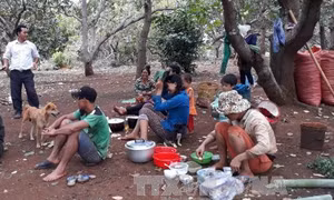 Ngăn chặn tình trạng bán điều non, cầm cố đất trong vùng đồng bào dân tộc thiểu số