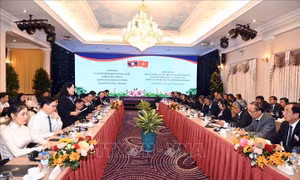 TP Hồ Chí Minh thúc đẩy quan hệ hợp tác với các địa phương của Lào