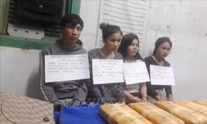 Triệt phá đường dây mua bán 60.000 viên ma túy qua biên giới