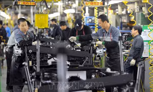 Tín hiệu tích cực cho thị trường lao động của OECD