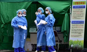 Bệnh nhân nhiễm MERS người Hàn Quốc đã được chữa khỏi hoàn toàn