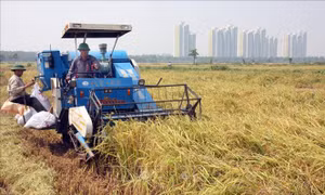 Phát triển nông nghiệp Hà Nội - nền tảng phát triển du lịch và dịch vụ - Bài cuối: Bám sát tiến trình phát triển đô thị