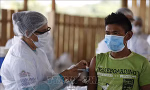 Brazil sắp có vaccine ngừa COVID-19 tự nghiên cứu và sản xuất