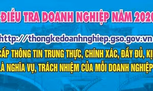 Từ ngày 1/4, Tổng cục Thống kê tiến hành điều tra doanh nghiệp năm 2020