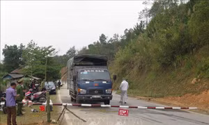 Công bố dịch tả lợn châu Phi trên ở Tuần Giáo, Điện Biên 