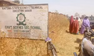 Nigeria nỗ lực giải cứu hàng trăm học sinh bị bắt cóc