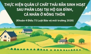 Thực hiện quản lý chất thải rắn sinh hoạt sau phân loại tại hộ gia đình, cá nhân ở nông thôn