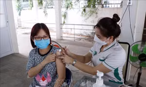 Ninh Thuận: Hoàn thành sớm việc tiêm vaccine COVID-19 cho nhóm nguy cơ cao 