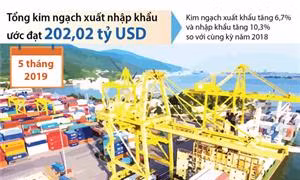 5 tháng, tổng kim ngạch xuất nhập khẩu hàng hóa ước đạt 202,02 tỷ USD