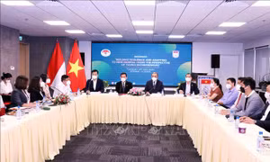 Kết nối doanh nghiệp trẻ tại TP Hồ Chí Minh và Indonesia