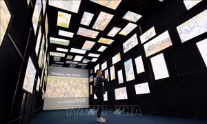 Lần đầu tổ chức Triển lãm nghệ thuật tương tác đa giác quan Van Gogh Art Lighting Experience tại Việt Nam