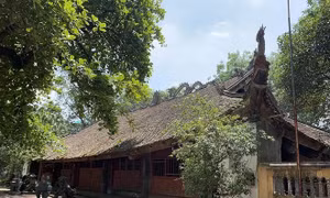 Quy hoạch tu bổ, phục hồi Di tích Đình Thổ Tang