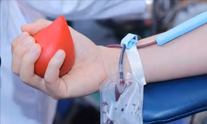 Nhiệt huyết hiến máu, ấm lòng giữa mưa rét