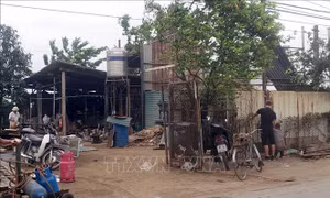 Vĩnh Phúc: Phòng ngừa, xử lý dứt điểm các vụ việc vi phạm về đất đai