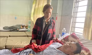 Vụ tai nạn tại Gia Lai: Tài xế kể lại khoảnh khắc kinh hoàng khiến 4 người thương vong