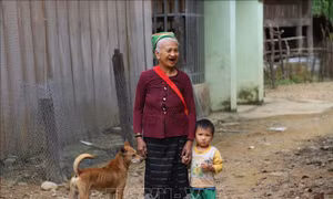 Nhịp sống bản Na Ngân giữa đại ngàn Pù Huống