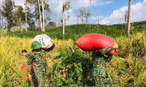 Bài học lấy dân làm gốc trong điều kiện mới - Bài 1: 'Bao nhiêu lợi ích đều vì nhân dân'