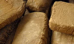 Tây Ban Nha thu giữ gần 400 kg nhựa cần sa từ Maroc