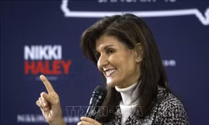 South Carolina - Đường đua quyết định của ứng cử viên đảng Cộng hòa Nikki Haley