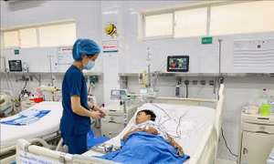Vụ ngộ độc nấm mọc trên xác ve sầu ở Đồng Nai: Chuyển một trẻ em lên TP Hồ Chí Minh điều trị