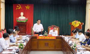 Tuyên Quang là điển hình của cả nước về trồng rừng