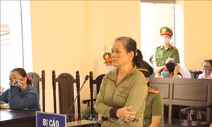 Án phạt thích đáng với đối tượng ngược đãi, hành hạ mẹ già