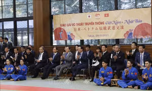 Chủ tịch nước Võ Văn Thưởng dự chương trình giao lưu võ thuật Việt Nam - Nhật Bản