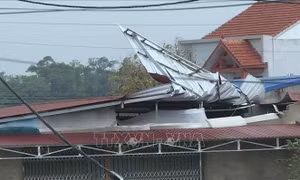 Chủ động phương án sẵn sàng ứng phó với thiên tai trong điều kiện dịch bệnh